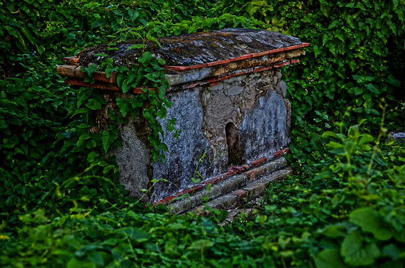 Bruit de sang